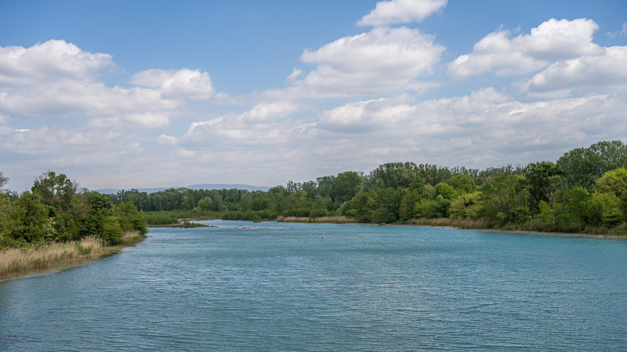 20240424-14h38m-DSC_2052-1