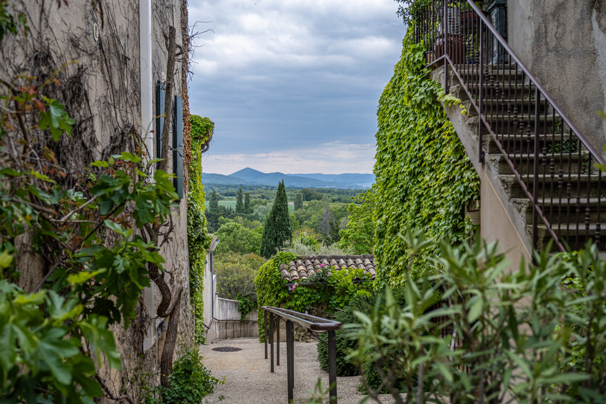 20240424-15h45m-DSC_2167-HDR