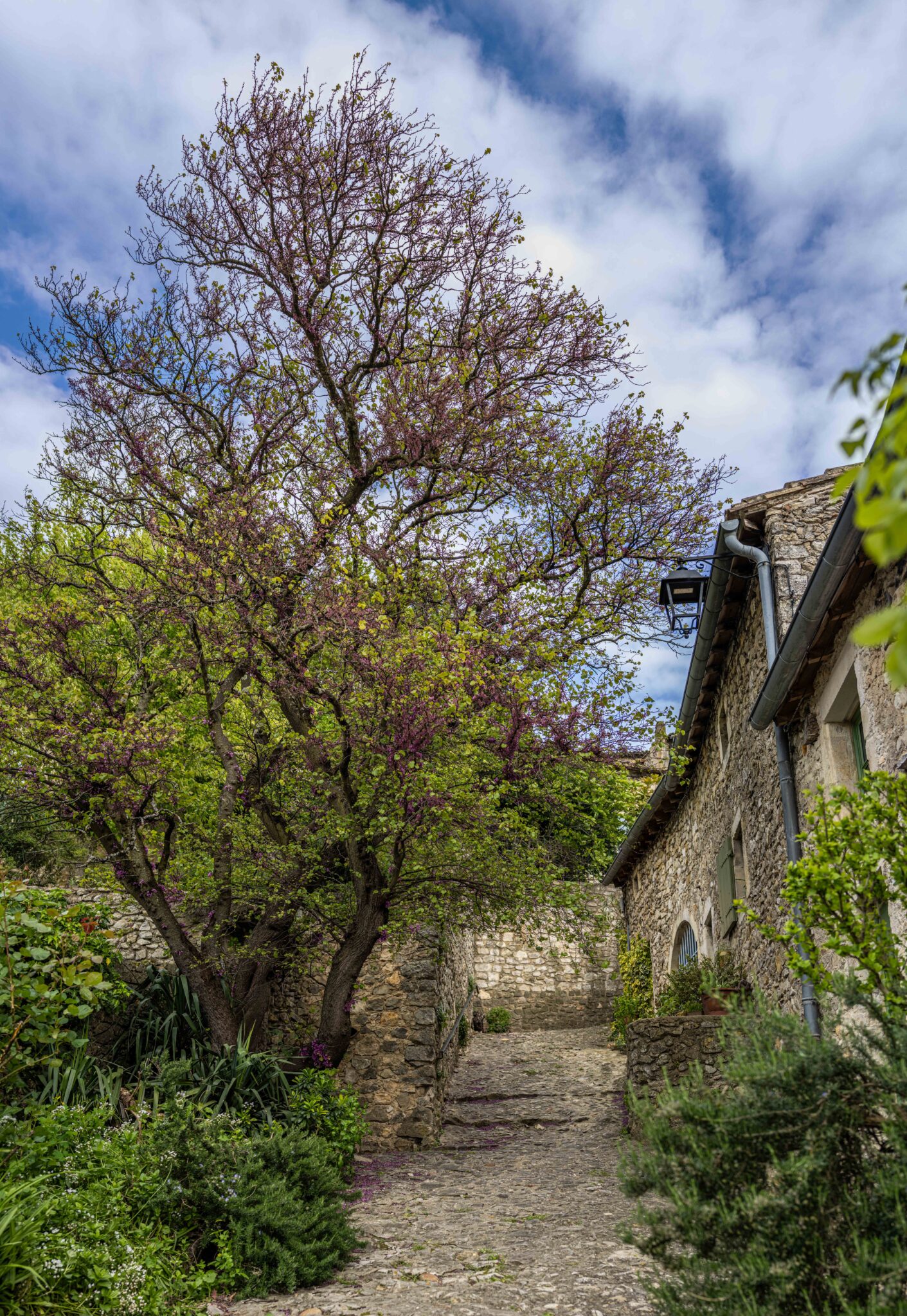 20240424-18h15m-DSC_2231-Pano