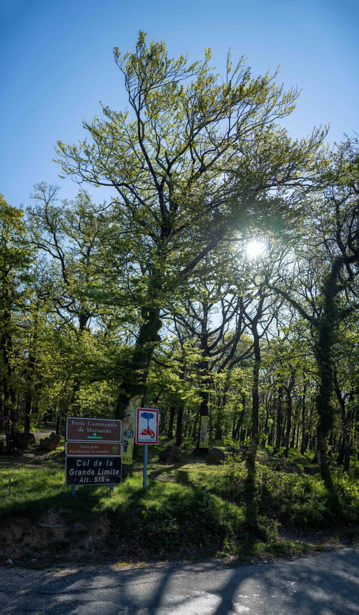 20240425-09h08m-DSC_2331-Pano-1