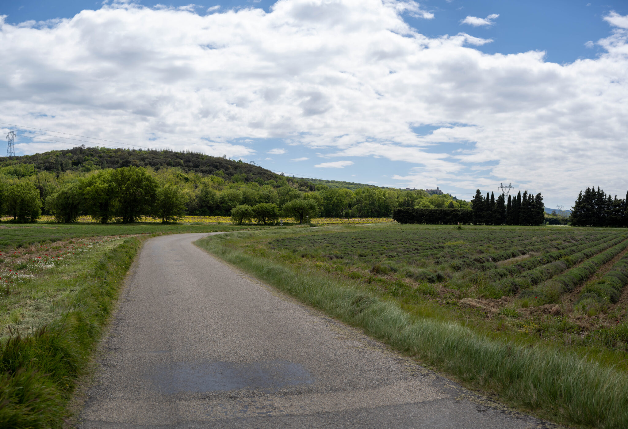 20240425-12h47m-DSC_2536-Pano