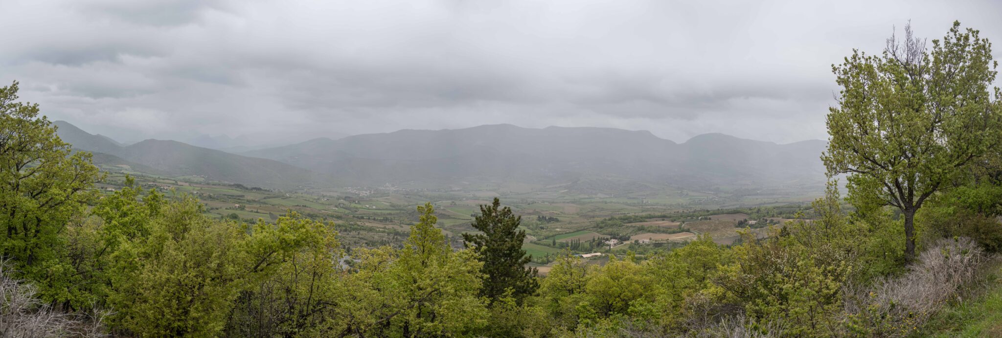 20240426-11h22m-DSC_3229-Pano