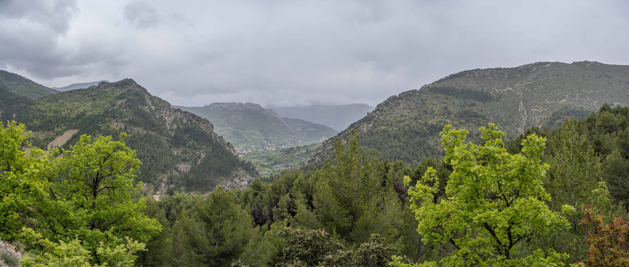 20240426-11h37m-DSC_3236-Pano