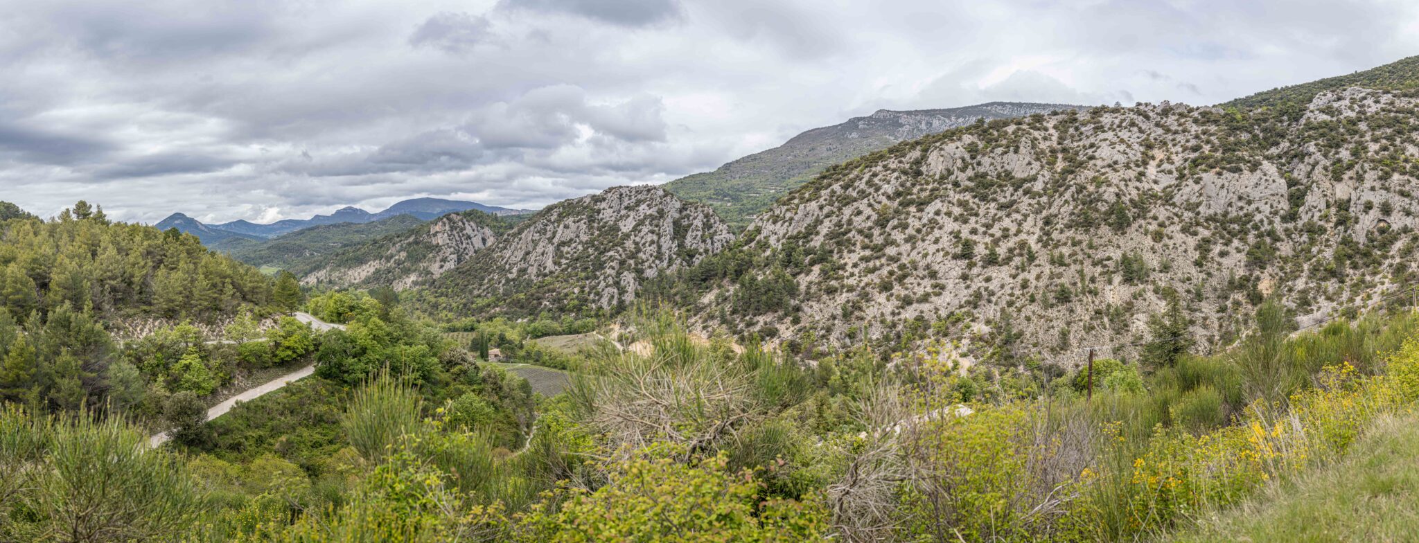 20240426-14h07m-DSC_3245-Pano