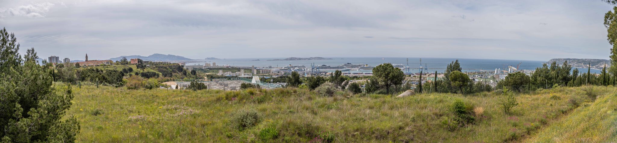 20240427-12h14m-DSC_3546-Pano