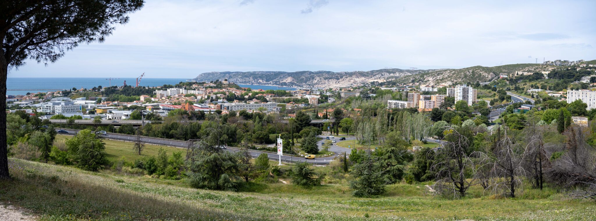 20240427-12h18m-DSC_3551-Pano