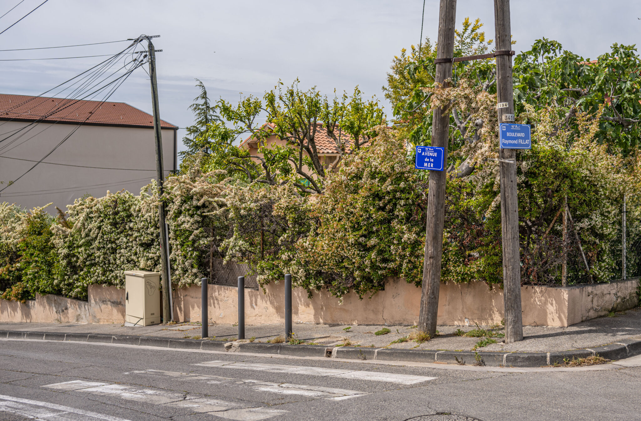 20240427-12h29m-DSC_3562