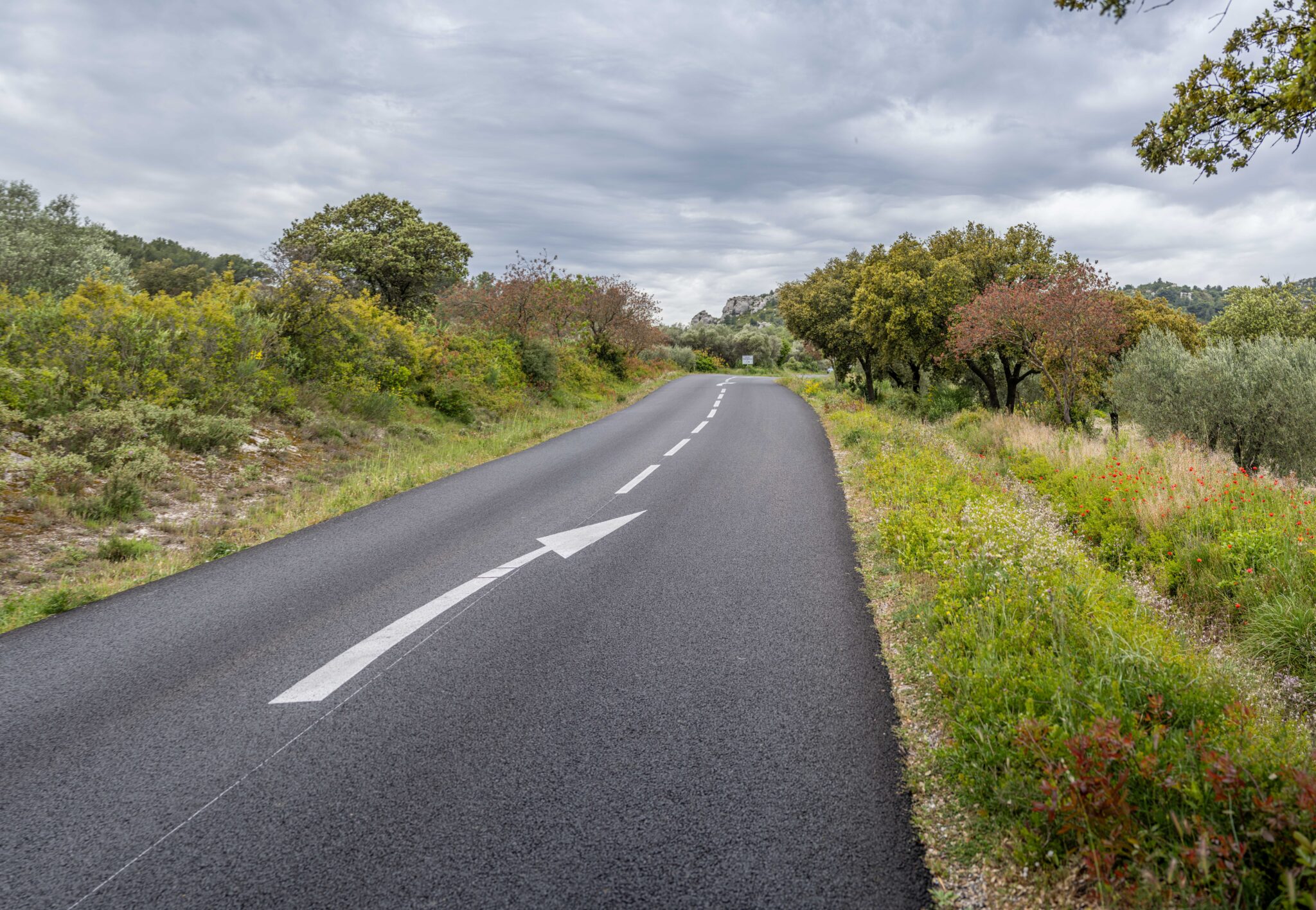 20240427-17h37m-DSC_3635-Pano