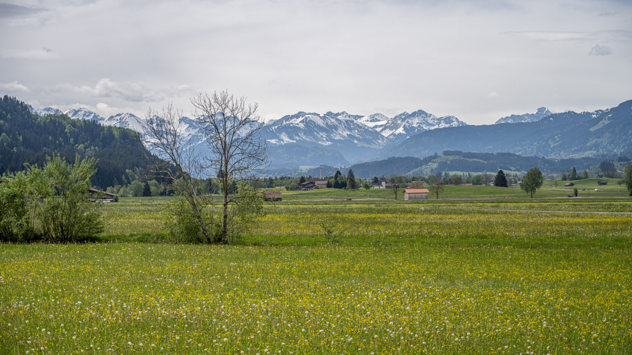 20240502-11h49m-DSC_3946