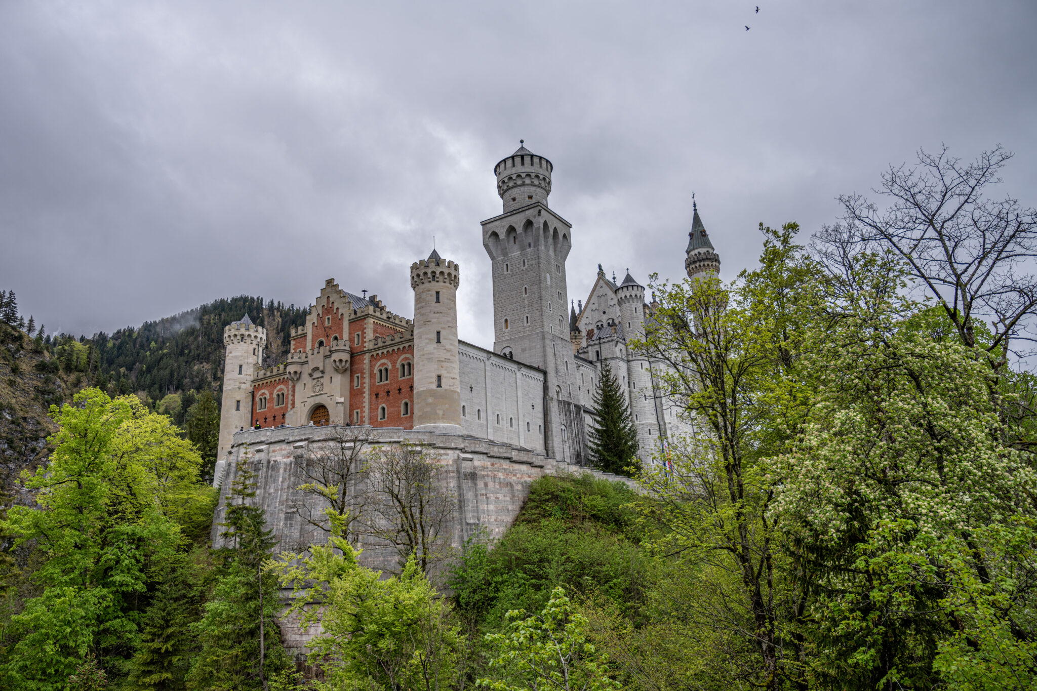 20240503-09h39m-DSC_4102