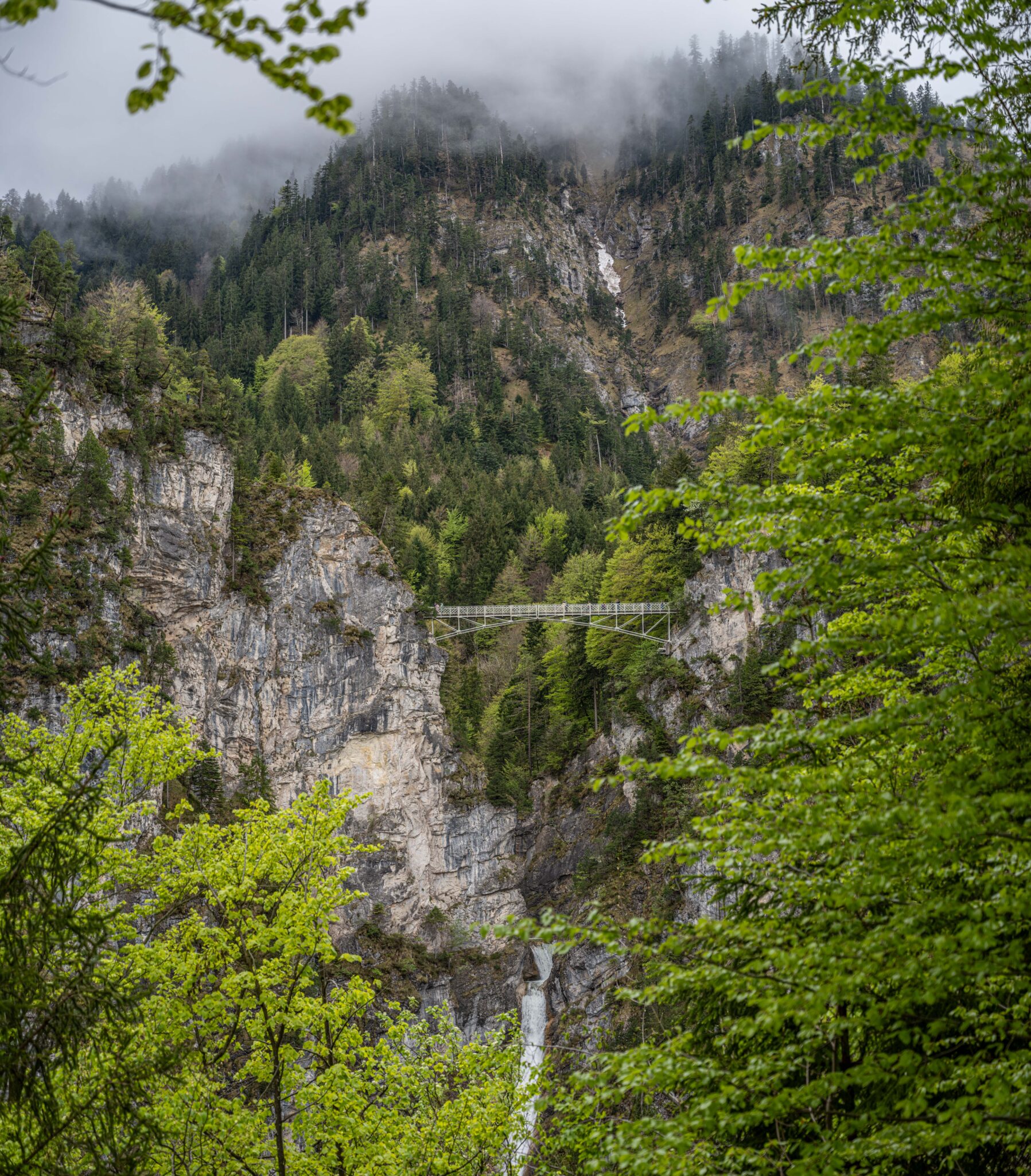20240503-10h06m-DSC_4134-Pano