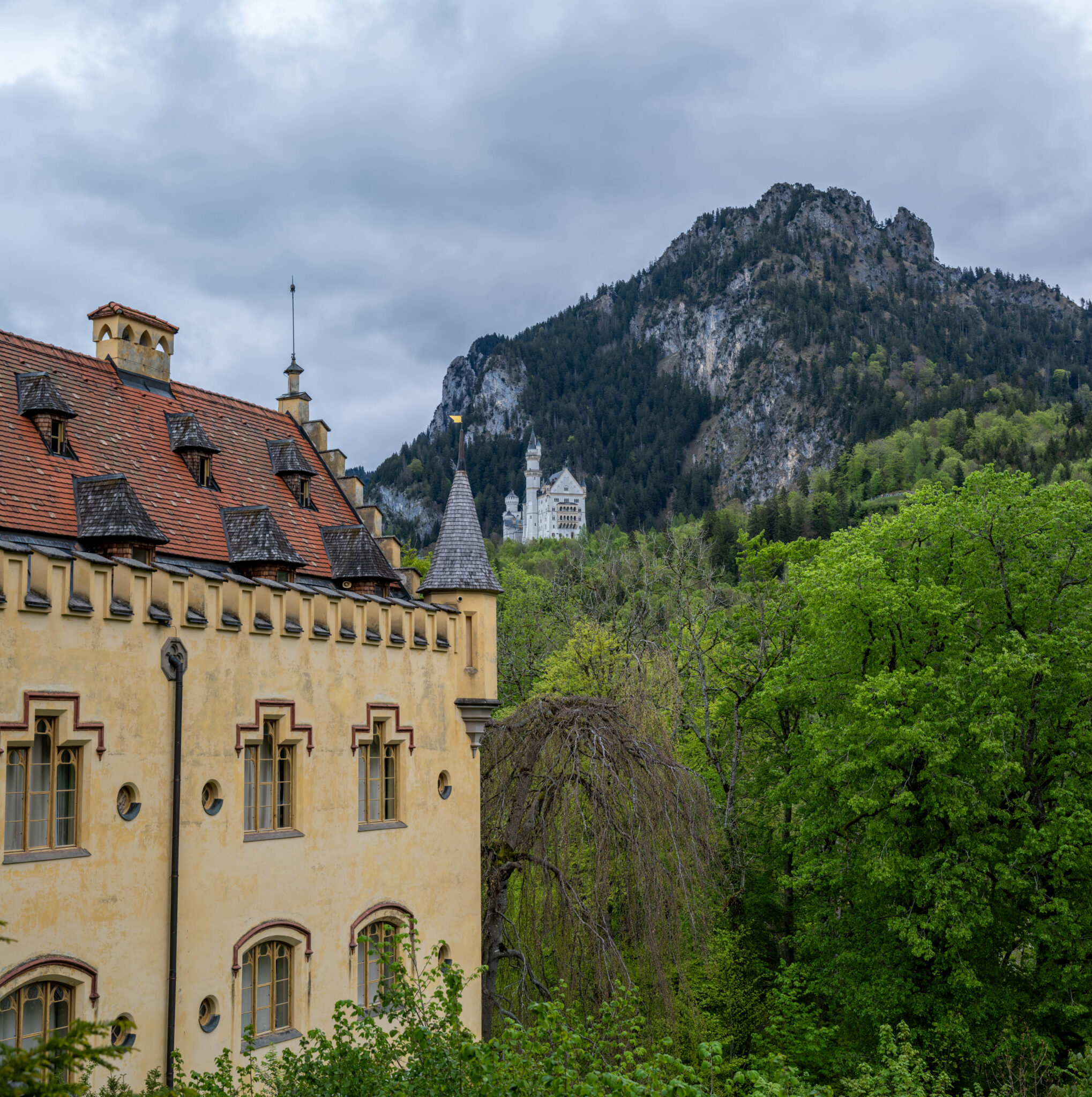 20240503-11h41m-DSC_4195-Pano