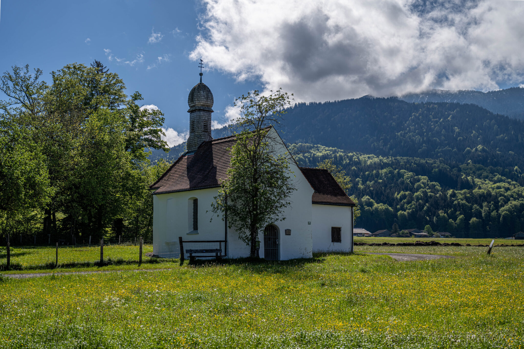 20240504-10h04m-DSC_4409-HDR