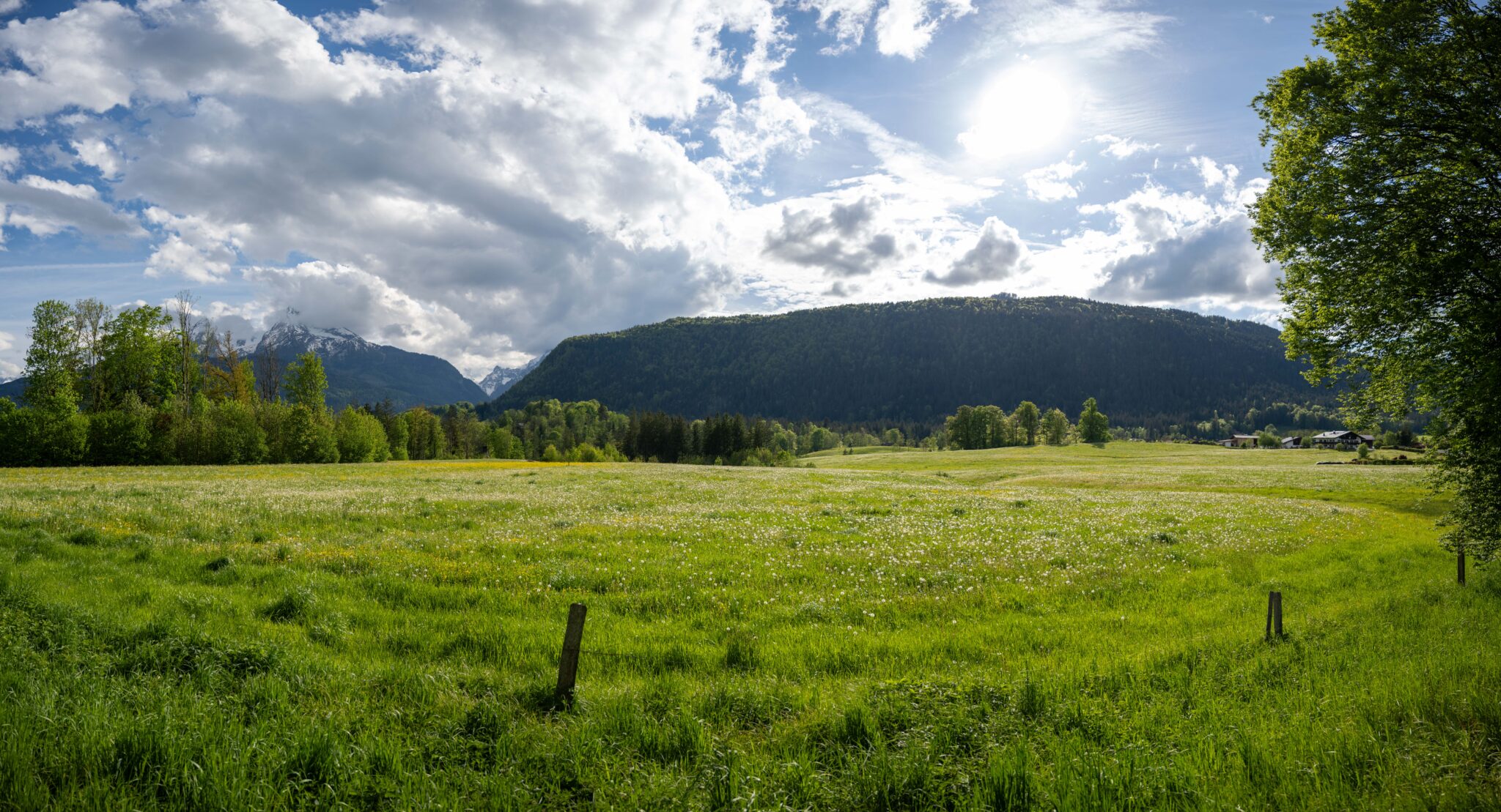 20240505-17h29m-DSC_4769-Pano