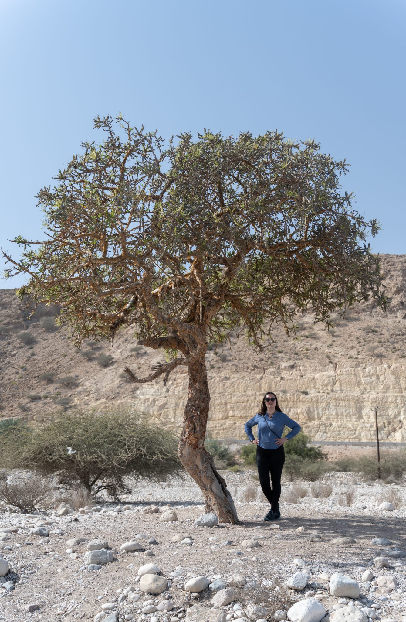 2026-02-02 Wadi Shab, Wadi Beni Khalid-08_45-DSC_6759