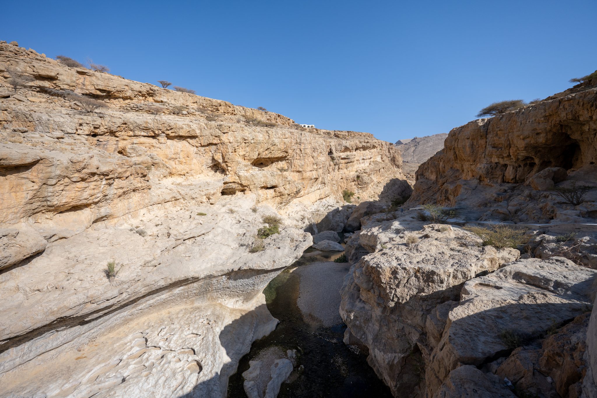 2026-02-03 Wadi Beni Khalid, Nizwa-07_24-DSC_6889