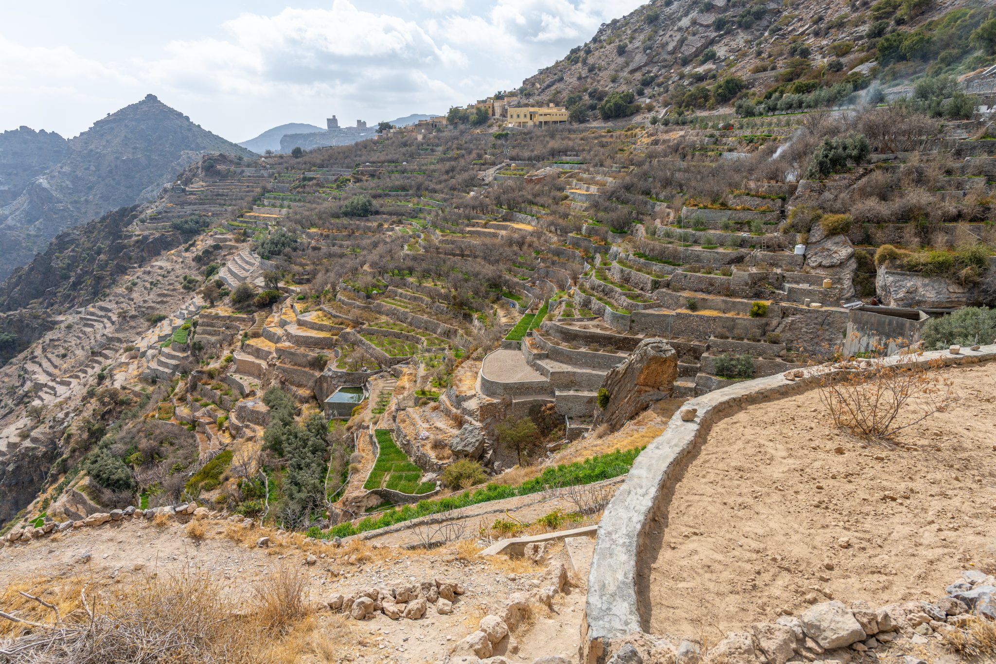 2026-02-04 OAAM, Jabel Akhdar, Nizwa-11_52-DSC_7226